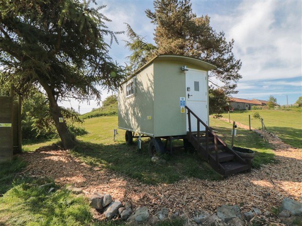 Woodpeckers Shepherds hut in North Yorkshire