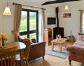 Relax in your Hot Tub with a glass of wine at Wren Cottage; Devon
