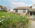 Wringford Farm Annexe - Cornwall