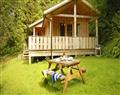 Y Berllan Log Cabin in  - Dinas