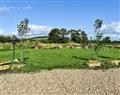 Yeabridge Farm Stays - Pond View at Yeabridge Farm in Beaminster - Dorset