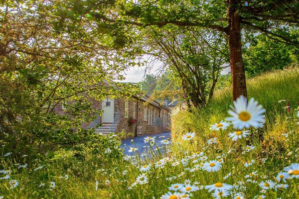 Yennadon Cottage in Devon