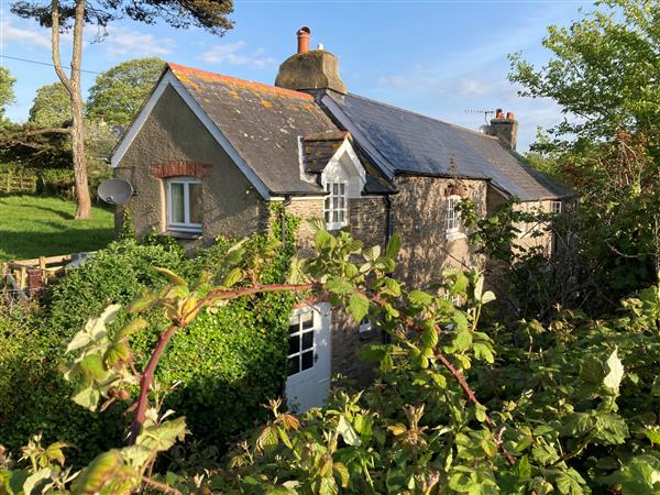 Yew Tree Cottage - Devon