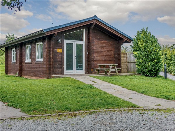 Yew Tree Spa (Pet), 